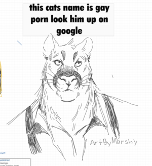 Gay Porn Cat - Echo Project Whiteboard on X: \