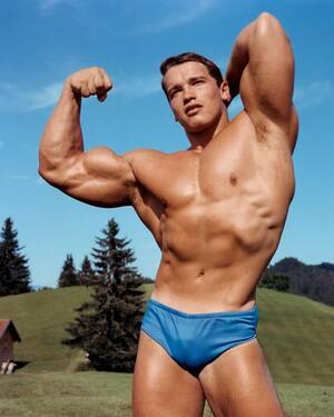 Hot Arnold Schwarzenegger Porn - Arnold Schwarzenegger: from Euro beefcake to the Americanâ€¦ - The Face