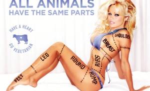 Graphic Porn - So PETA is launching their own porn site. Given their previous over-the-top  efforts to draw attention to their cause, doesn't this seem like the next  ...