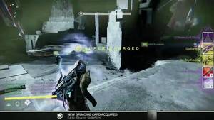 Destiny Porn - Destiny loot porn