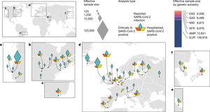 Monica Crowley Nude Porn - Mapping the human genetic architecture of COVID-19 | Nature
