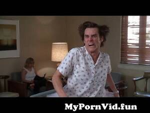 Ace Ventura Sexy - Ace Ventura Pet Detective Funniest Scenes Compilation Part 2 from ace  ventura pet detective bikini fandango movie clips Watch Video -  MyPornVid.fun