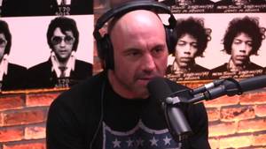 Jocko Porn - Joe Rogan with Jocko Willink Discuss Jordan Peterson
