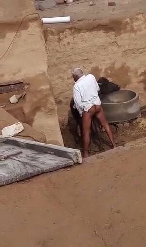 Buffalo Sex Porn - Buffalo sex