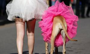 Jennifer Lopez Upskirt Porn - Judge rules that 'upskirt' photos taken without consent are NOT illegal (so  long as victim is wearing panties) | Daily Mail Online