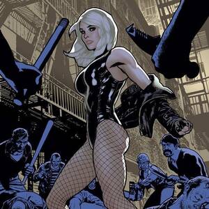 Black Canary Comics Sex - Discussion] Thoughts on Black Canary? : r/DCcomics