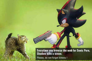 Fan Sonic Porn - Shadow The Hedgehog wallpaper called Shadow dislikes sonic porn