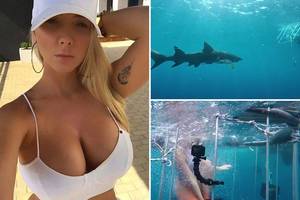 Cage Underwater - Porn firm at centre of 'fake shark attack' storm probed for bringing adult  film industry into disrepute