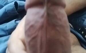big hard cock cum - Bear wanking big hard cock and slow motion cum shot Porn Videos | Faphouse