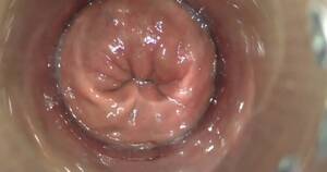 anal exploration - My New Favorite Friend Anal Exploration part 2 - ThisVid.com