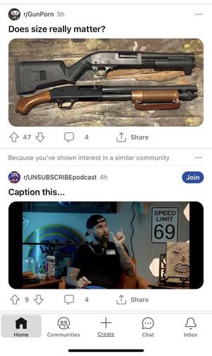 Gun Porn Caption - Sometimes Reddit is accidentally funny : r/GunPorn