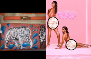 Ariana Grande Bdsm Porn - Cardi B surprises Megan Thee Stallion with a Birkin bag after their song  'WAP' debuts at No. 1 on Billboard (Photos/Video)