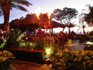 Kahului And Kihei Hawaii Porn - Hawaii. Hula Grill has a great, low-key atmosphere with beautiful sunset  views! The