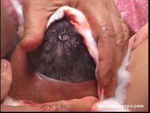Giving Birth Torture Porn - Baby Birth