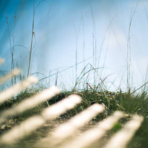 Embryo Princess Porn - one. ...