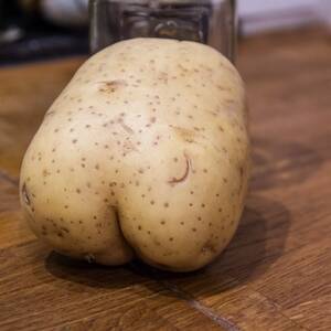 Irish Funny Porn - Irish Porn [NSFW] : r/funny