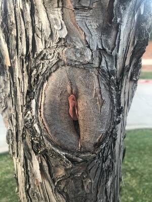 Mother Nature Porn - Mother Nature shows of her lady parts. : r/natureporn