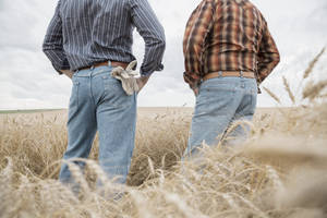 Junior Sex Hard - Share