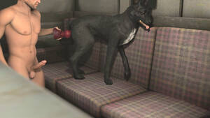 3d Animated Animal Pussy - 2382404 - e621