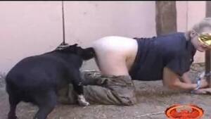 Fucked Up Bestiality - tied up Animal Porn