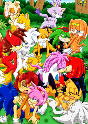 Bisexual Cartoon Porn Sonic - M.E.S.S.secrets of sonic the hedgehog furry orgy - 14 Pics | Hentai City