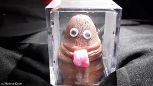 funny penis xxx - Funny Penis - Pornhub.com