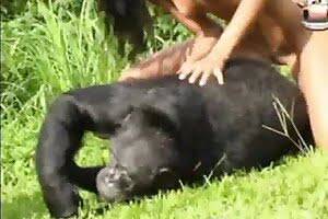 Man Fucks Monkey - Man Fock For Femel Monky | Sex Pictures Pass