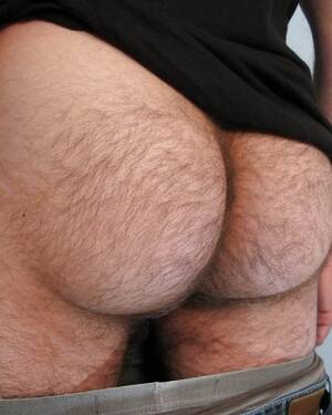 Hairy White Ass Porn - Hairy ass white men Porn Pictures, XXX Photos, Sex Images #1610803 - PICTOA