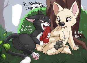 Bolt Furry Porn - e621 2016 animal_genitalia animal_penis anus balls black_fur blush bolt  bolt_(film) butt canine canine_penis