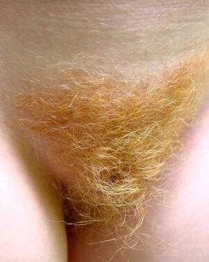 Hairy Redhead Hippie Porn - Hairy pussy redhead hippie girl gets naked Porn Pictures, XXX Photos, Sex  Images #3373192 - PICTOA