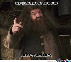 Hagrid Harry Potter Gay Porn - harry potter Humor Â· hagrid meme