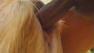 Man Fucks Goat - Man fuck goat Animal Porn