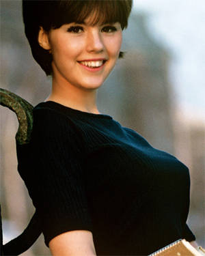 Dianne Chandler Porn - Dianne Chandler