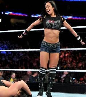 Miss April Aj Lee Porn - WWE Main Event 1/8/14: Kaitlyn vs AJ Lee
