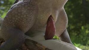 Gay Furry Reptile Porn - FURRY LIZARD FOREST RIDE (DZÃ„T)