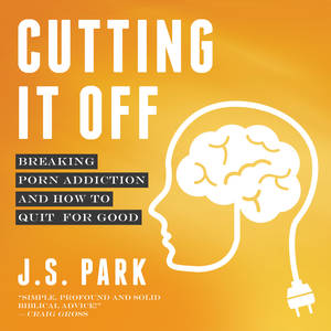 hand turn off - Porn Addiction, Part Two: What Porn Does To Your Brain, the Science â€“ J.S.  Park: Hospital Chaplain, Skeptical Christian