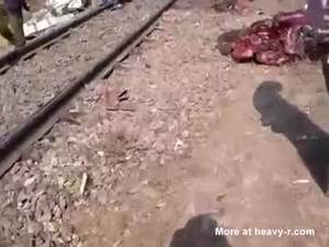 Elephant Porn - Elephant vs Train