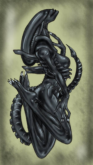 Aliens Alien Girl Porn - Grey alien girl porn - Xenomorph and woman bing images aliÃ«n pinterest  xenomorph jpg 1104x1948