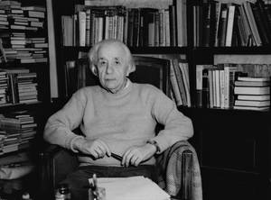 Dawn Dunlap Porn Captions - Einstein Relaxing in His Office art for sale