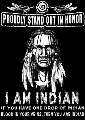 indian native american drawn porn - My great grandmother was a full Native American orphan, adopted by  Pennsylvania Dutch farmers. I am USA gov.