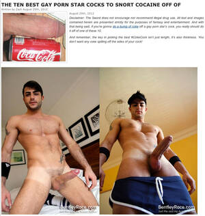 Gay Porn Star Cocks - Top Ten Porn Star Cocks - Bentley Race