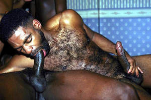 Andre Bolla Gay Porn Star - Mibali Afrika