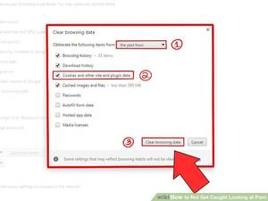 Data Porn - Image titled Not Get Caught Looking at Porn Step 9
