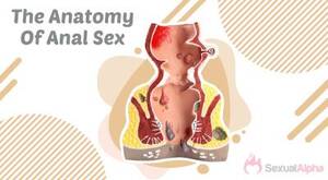 anal fingering tips - Anal Fingering 101: Best Tips & Techniques For All