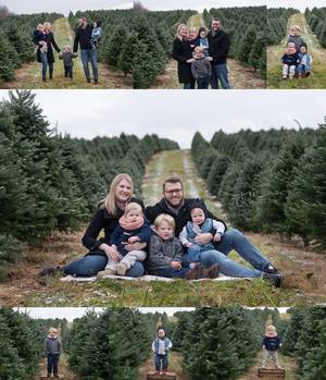 Columbus Porn Outdoor - Columbus OH family photography, Christmas sessions at tree farm, outdoor  Christmas photography, Columbus
