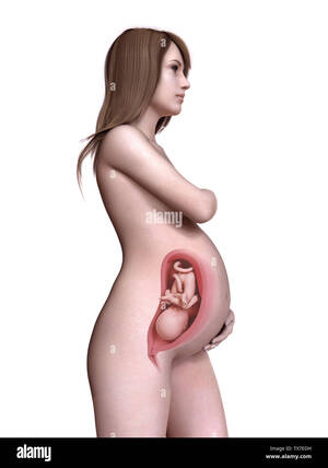 3d pregnant girls naked - 3d Pregnant Girls | Anal Dream House