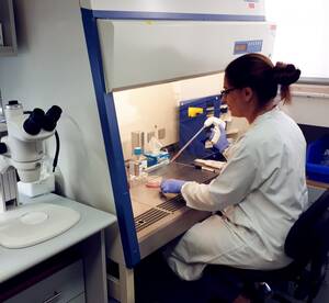 Blonde Amateur German Teenmodelsporn - Tissue Bank | ×¢×ž×•×ª×ª ×”×™×“×™×“×™×