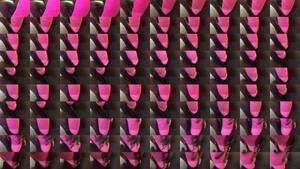 black pussy pink dildo - Pink dildo stretches black pussy - XVIDEOS.COM