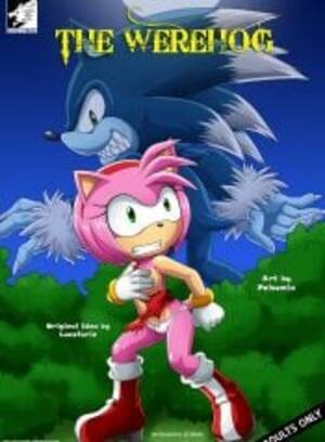 Amy Rose Shower Comic Porn - Amy Rose Rule 34 Porn Comicsâ€“ R34Porn