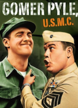 Gomer Pyle Fake Porn - Gomer Pyle, U.S.M.C. (1964-1969) Nude Scenes < ANCENSORED